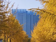 -辽宁大学(崇山校区)