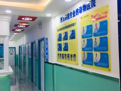 -全心全意连锁动物医院(石景山店)