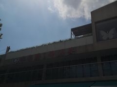 -武昌中华路码头(轮渡站)
