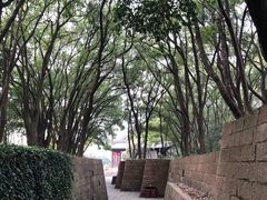 -上海方塔园