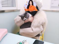 -宠福鑫康馨动物医院·骨科·眼科