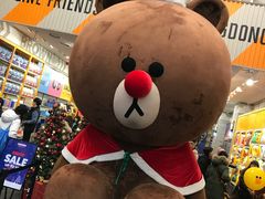 -line friends(明洞旗舰店)