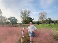 -汉长安城未央宫国家考古遗址公园