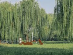 -北坞公园