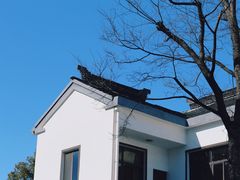 -树山生态村