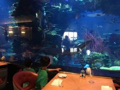 -迪拜帆船酒店海底餐厅