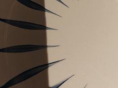 -必胜客(尹山湖歌林公园店)