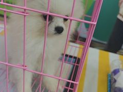 -鹏欣水游城