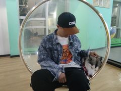 -Husky Go! 哈士奇体验馆·宠物咖啡厅狗咖