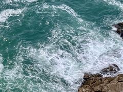 -广东惠东海龟国家级自然保护区