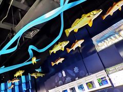 -同济大学四平路校区深海探索馆