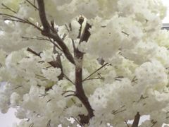 -艾薯夫妇Aysh(福田星河COCOPark店)