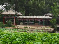 -近春园遗址