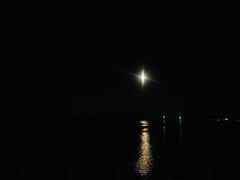 -琴岛之星摩天轮