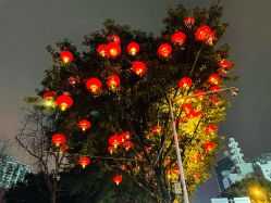 -蕾特恩专业祛痘国际连锁