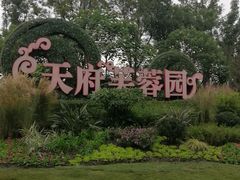 -天府芙蓉园