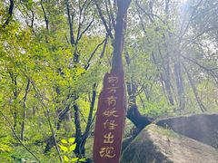 -洛阳花果山景区