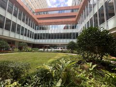 -香港大学