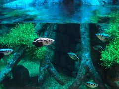 -沈阳海洋探索中心