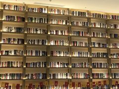 -深影国际影城(学院南路店CGS中国巨幕店)