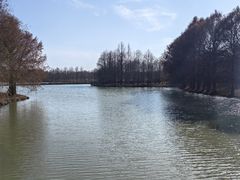 -上海海湾国家森林公园