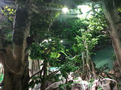 -福州罗源湾海洋世界旅游区