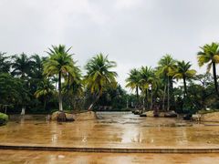 -白沙门生态公园