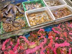 -东江海鲜大排档·潮汕菜·砂锅粥