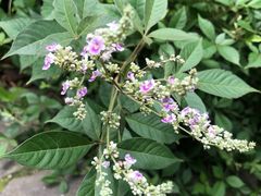 -南京金牛湖风景区