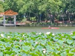 -荔湾湖公园