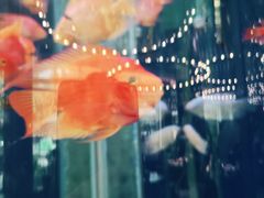 -悦百味·品质川菜(橄榄郡店)