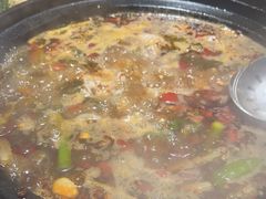 -小饕荟雅安贡椒鱼鲜馆(广福桥店)