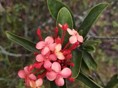 -福建鲤鱼洲酒店