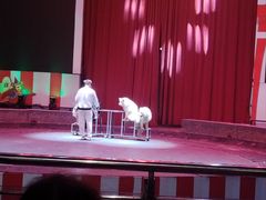 -无锡动物园·太湖欢乐园