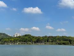 -番禺大夫山森林公园