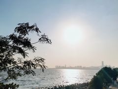 -深圳湾公园(南山区)