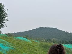 -秦始皇帝陵博物院-丽山园