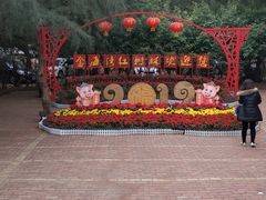 -北海金海湾红树林生态旅游区