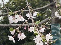 -梁鸿国家湿地公园