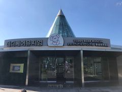 -济州岛泰迪熊博物馆