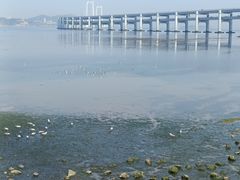 -黑石礁公园