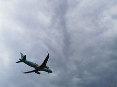 -空港花田景区