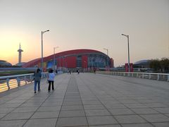 -南京奥林匹克体育中心-体育馆