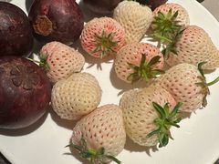 -曲水兰亭(北京四惠店)