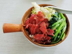 -东寨港红树林旅游区