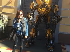 -木乃伊复仇过山车