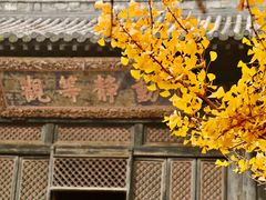 -大觉寺-停车场