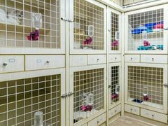 -more than meow吴止猫主题餐厅(承德 中船汇店)