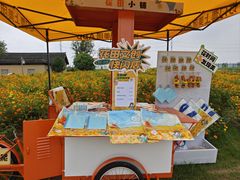 -杭州湾海上花田景区