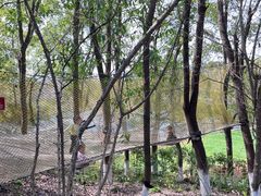 -张公山寨景区